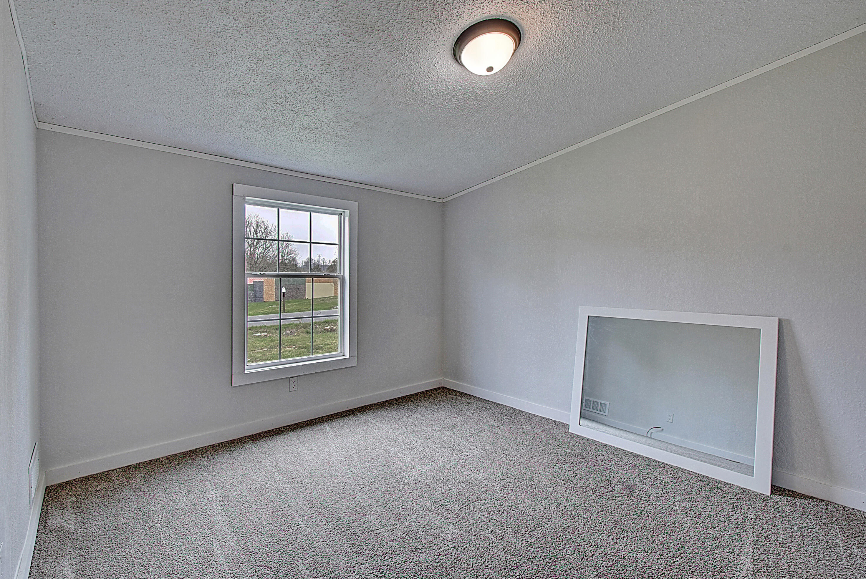 2050 Dave Buck Road Johnson City, TN 37601 - Photo 18 of 28 DSC_0310And8more