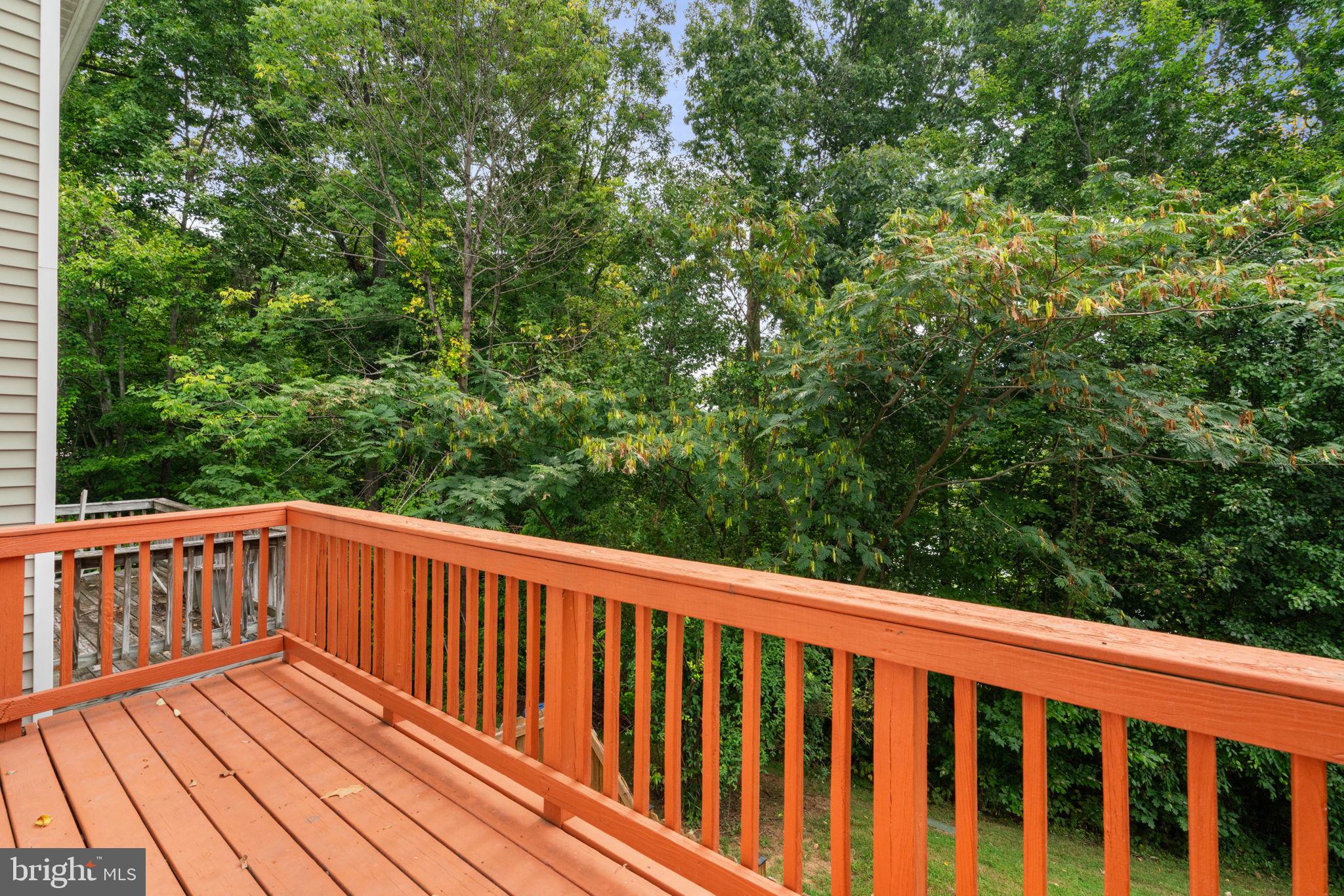 5223 Spring Branch Boulevard Dumfries, VA 22025 - Photo 42 of 44 Gallery Image 42