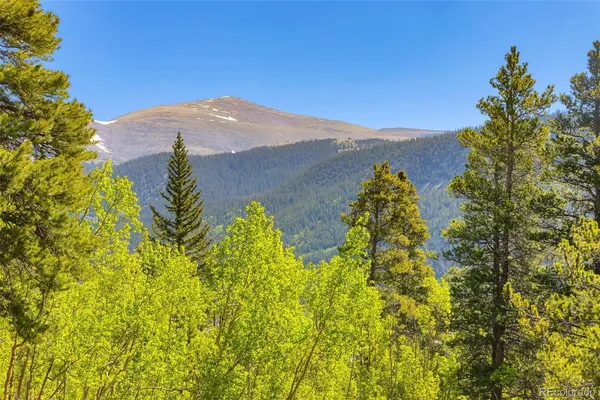 $450,000 | 715 Lewsader Road, Alma, CO 80420