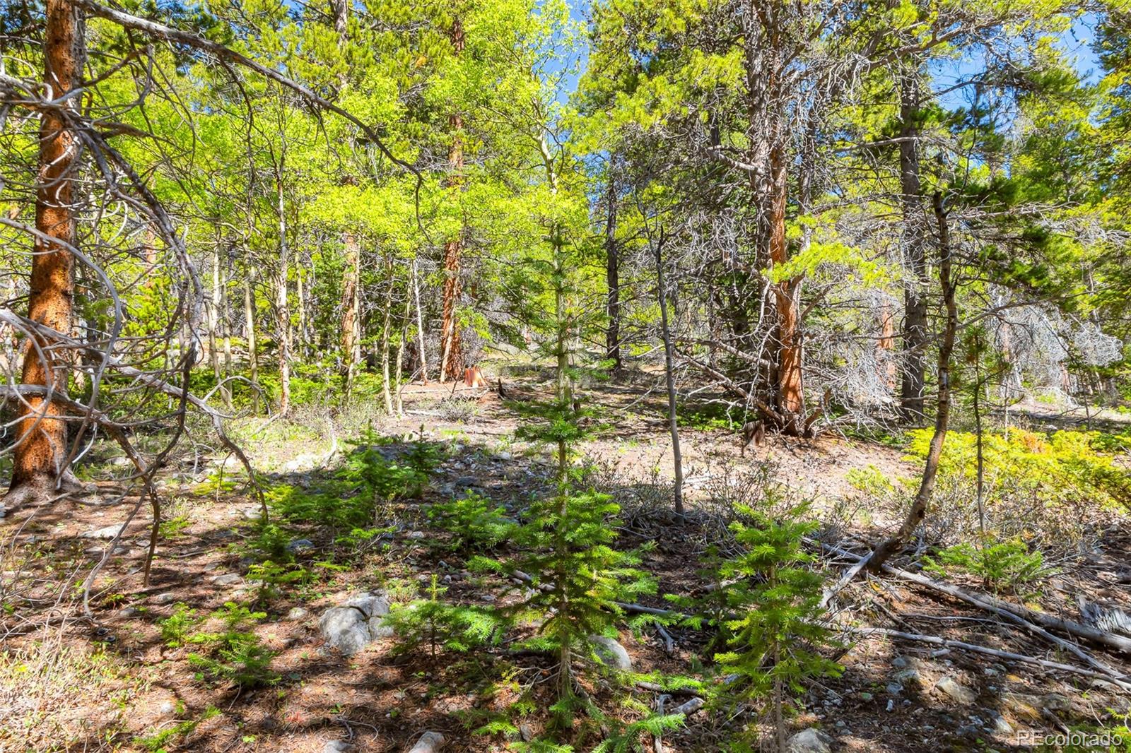 715 Lewsader Road Alma, CO 80420 - Photo 11 of 26