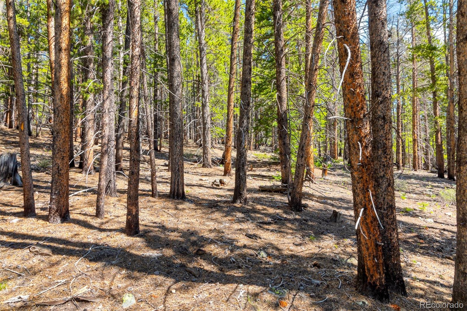 715 Lewsader Road Alma, CO 80420 - Photo 13 of 26