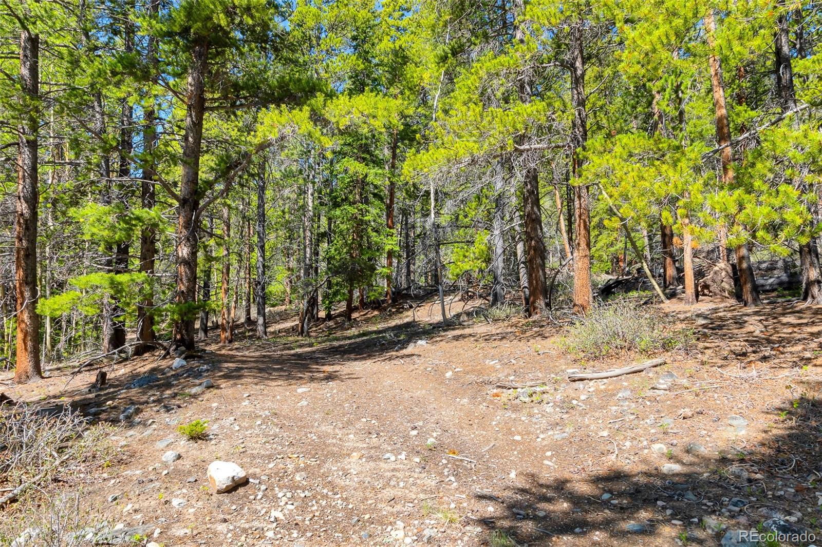 715 Lewsader Road Alma, CO 80420 - Photo 20 of 26