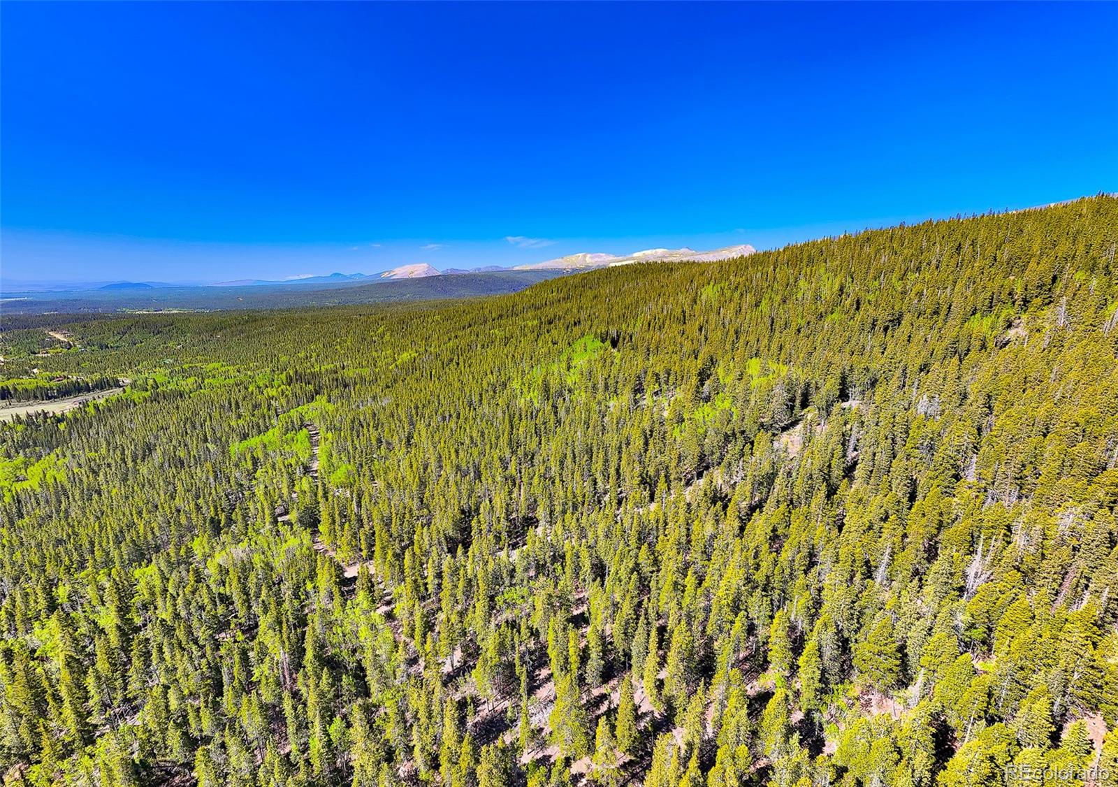 715 Lewsader Road Alma, CO 80420 - Photo 26 of 26