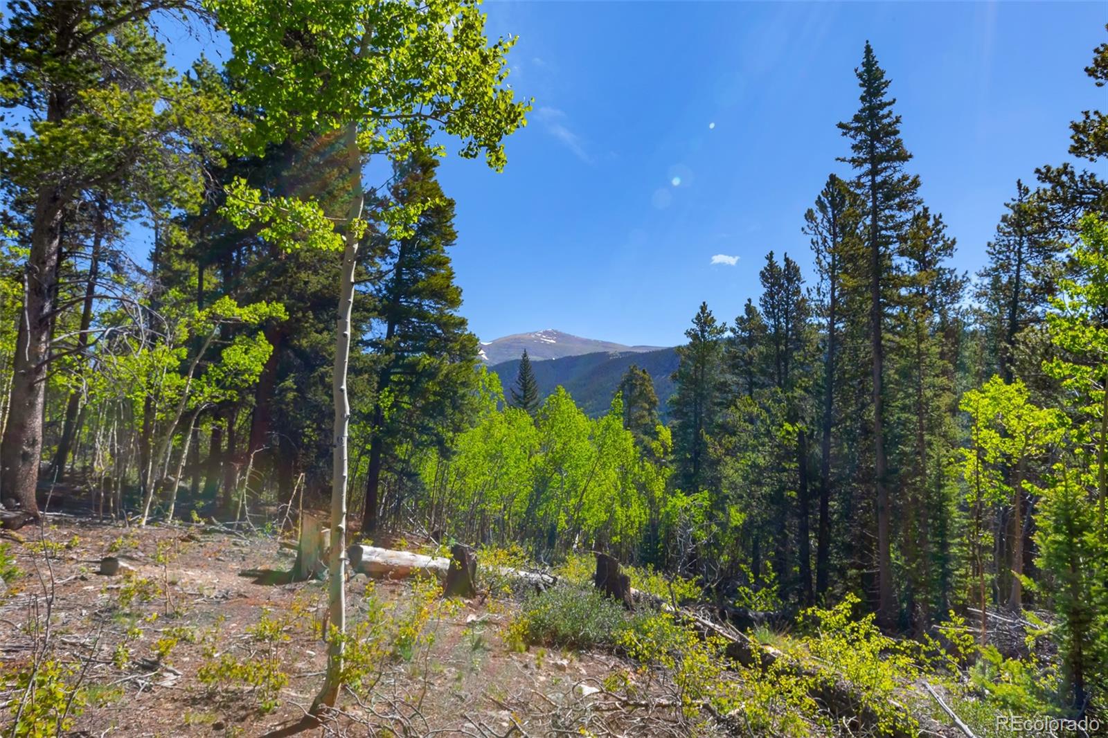 715 Lewsader Road Alma, CO 80420 - Photo 3 of 26