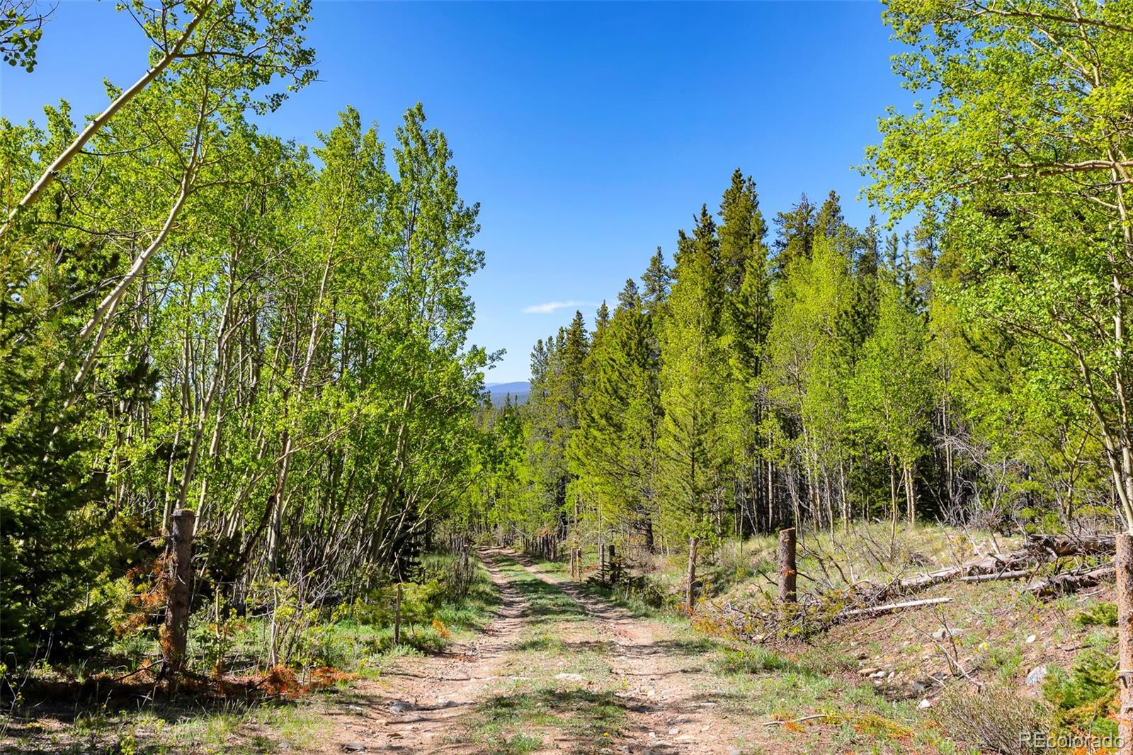 715 Lewsader Road Alma, CO 80420 - Photo 8 of 26