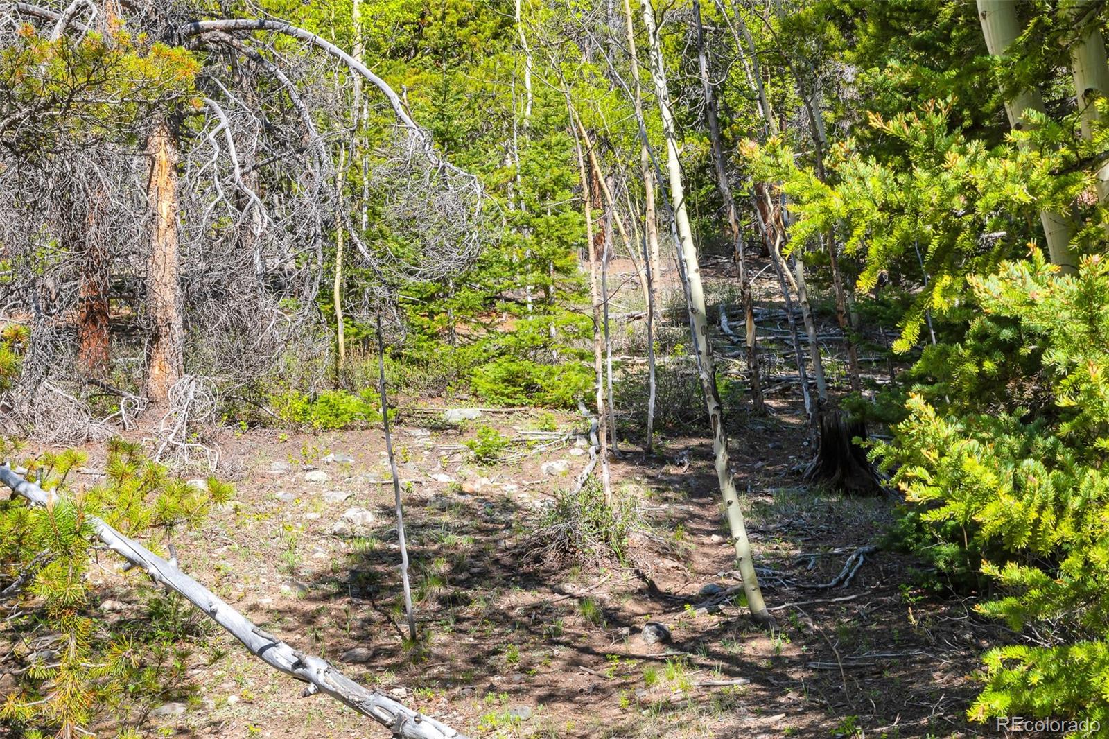 715 Lewsader Road Alma, CO 80420 - Photo 10 of 26