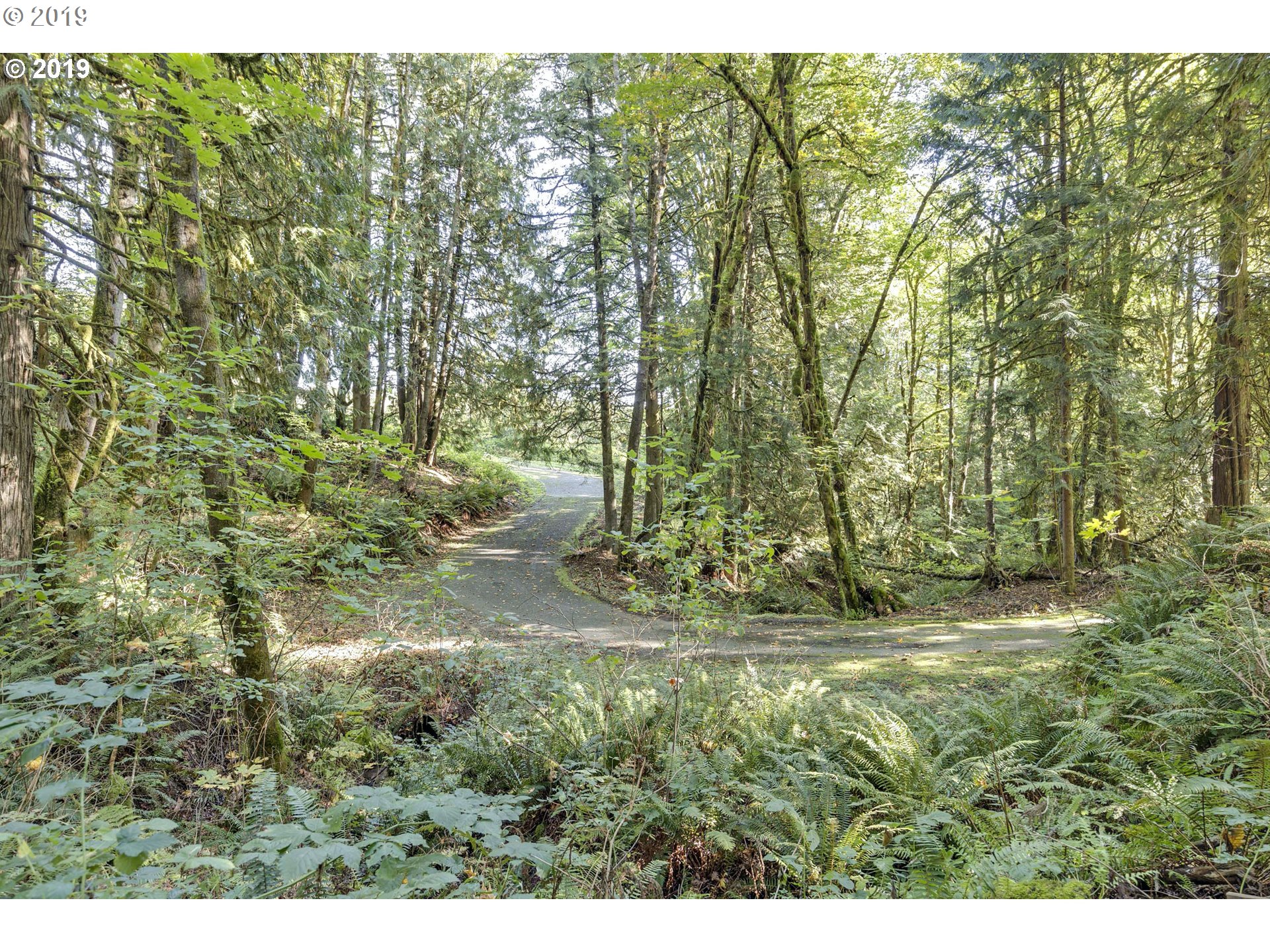 15520 South Maplelane Road Oregon City, OR 97045 - Photo 26 of 31 Driveway