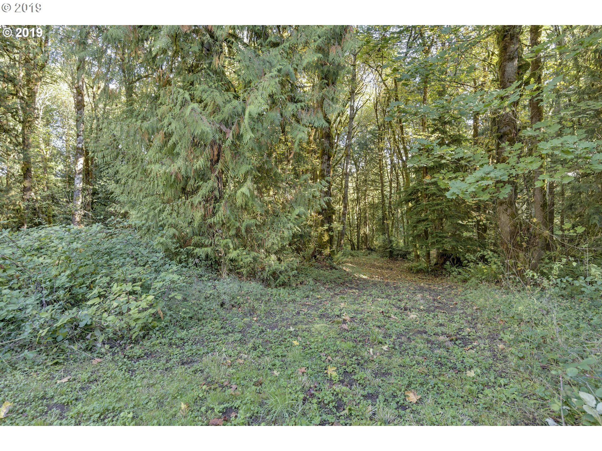 15520 South Maplelane Road Oregon City, OR 97045 - Photo 27 of 31 Gallery Image 27