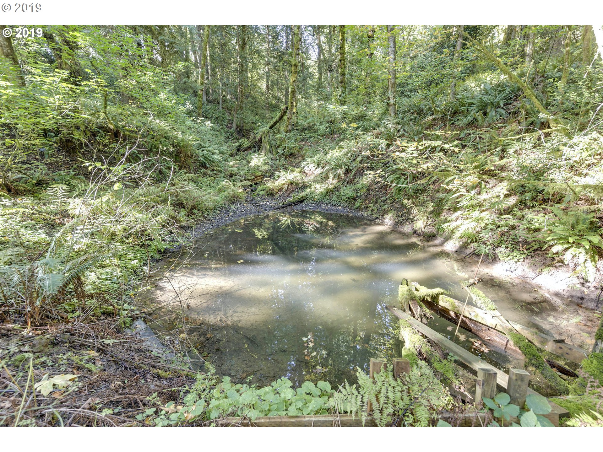15520 South Maplelane Road Oregon City, OR 97045 - Photo 28 of 31 Pond