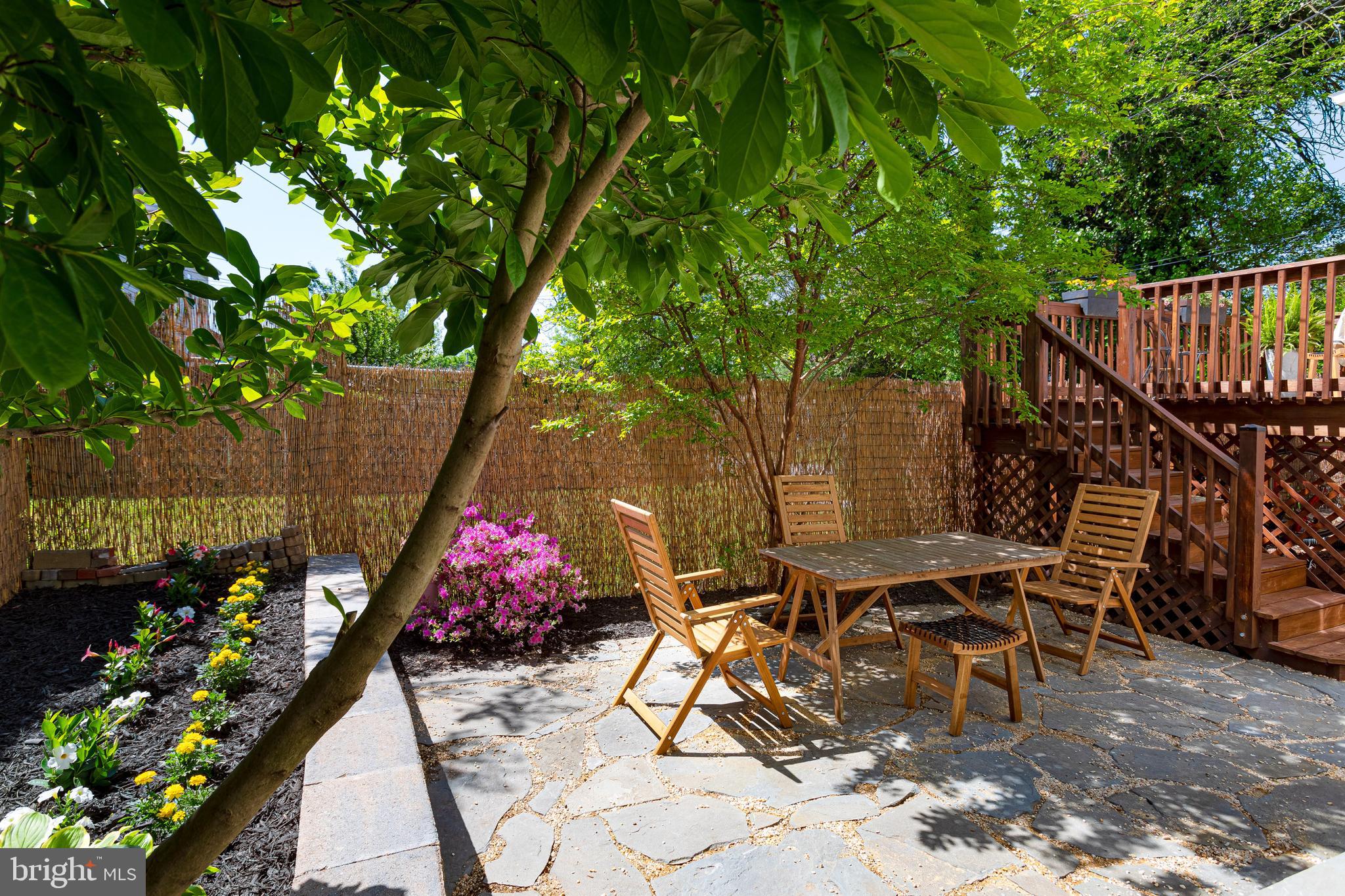 323 Channing Street Northeast Washington, DC 20002 - Photo 41 of 44 Gallery Image 41