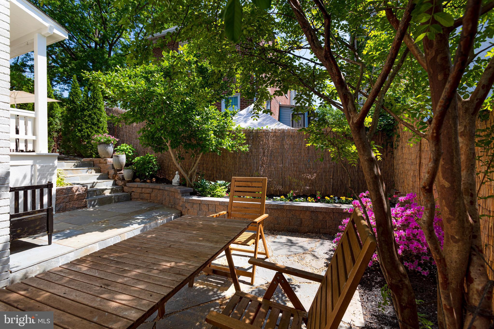 323 Channing Street Northeast Washington, DC 20002 - Photo 43 of 44 Gallery Image 43