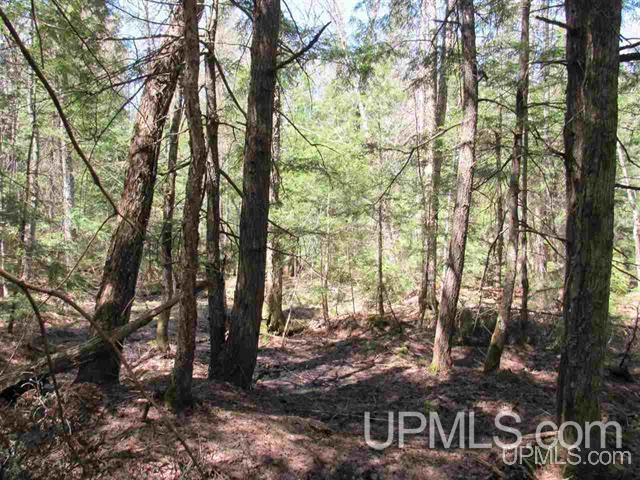 Tbd Klingville Road Chassell, MI 49916 - Photo 3 of 8