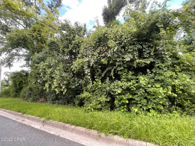 $29,900 | 0 Kelson Avenue, Marianna, FL 32446