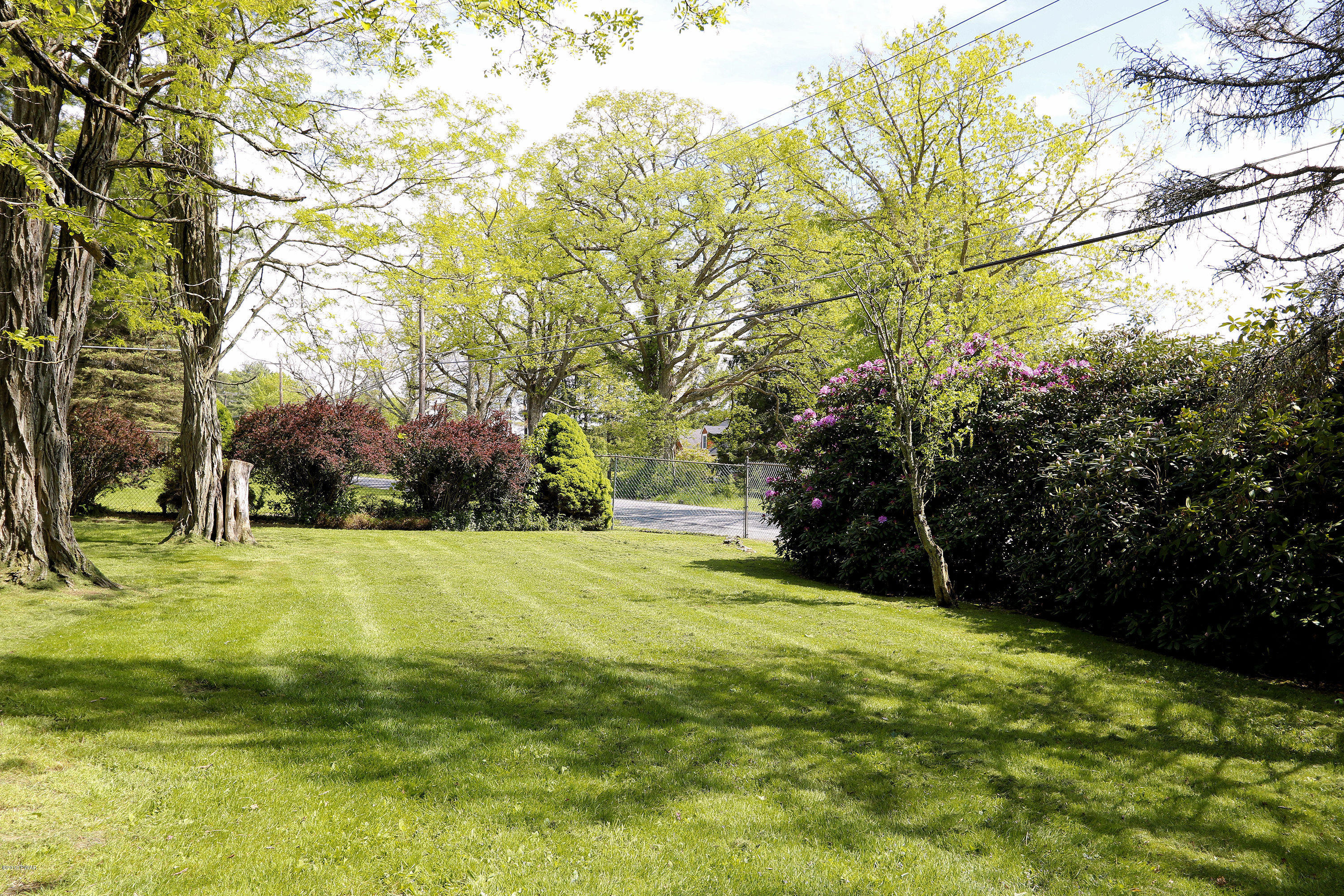 Front Yard