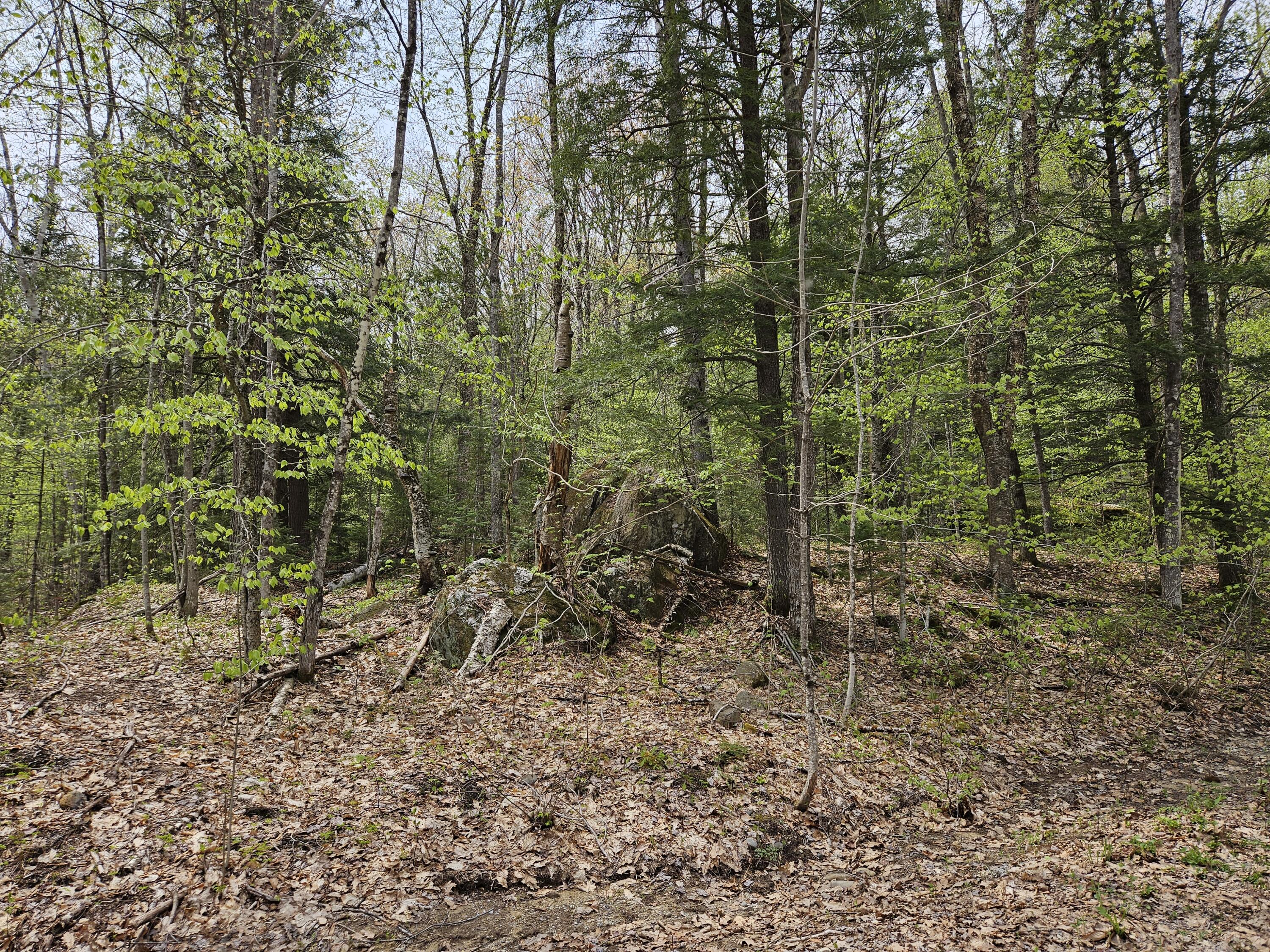 Mr02-l019 Holman Pond Road Temple, ME 04984 - Photo 21 of 40 Holman Lot 19
