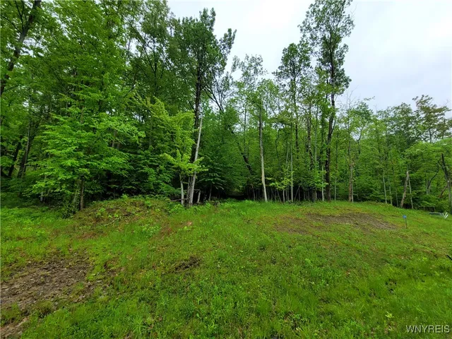 $21,250 | 0 County Road 24, Swain, NY 14884