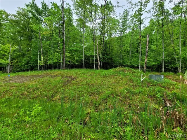 $21,250 | 0 County Road 24, Swain, NY 14884