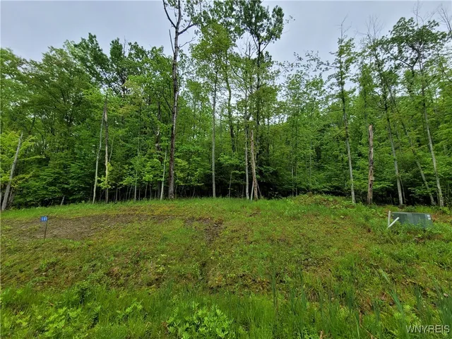 $21,250 | 0 County Road 24, Swain, NY 14884