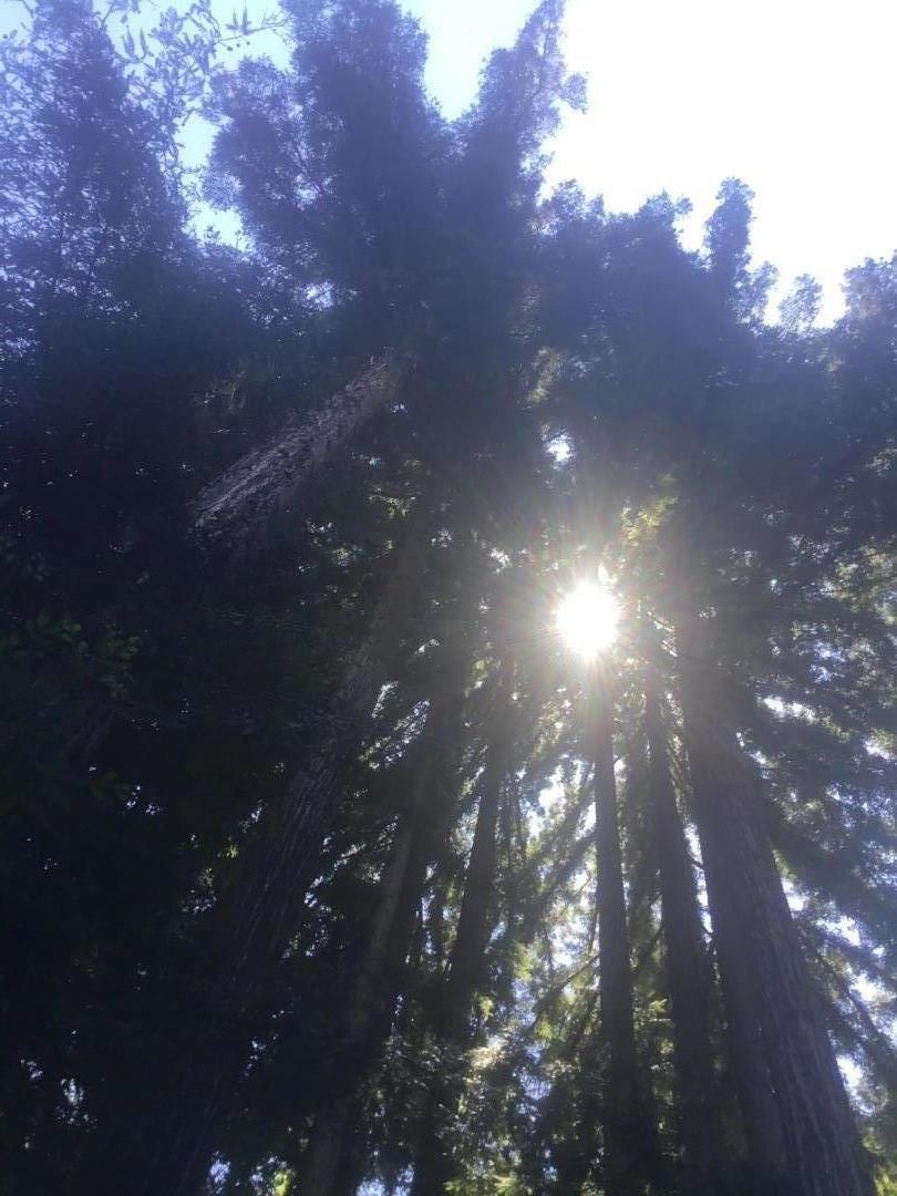 383 Nicasio Way Soquel, CA 95073 - Photo 2 of 5 a view of city