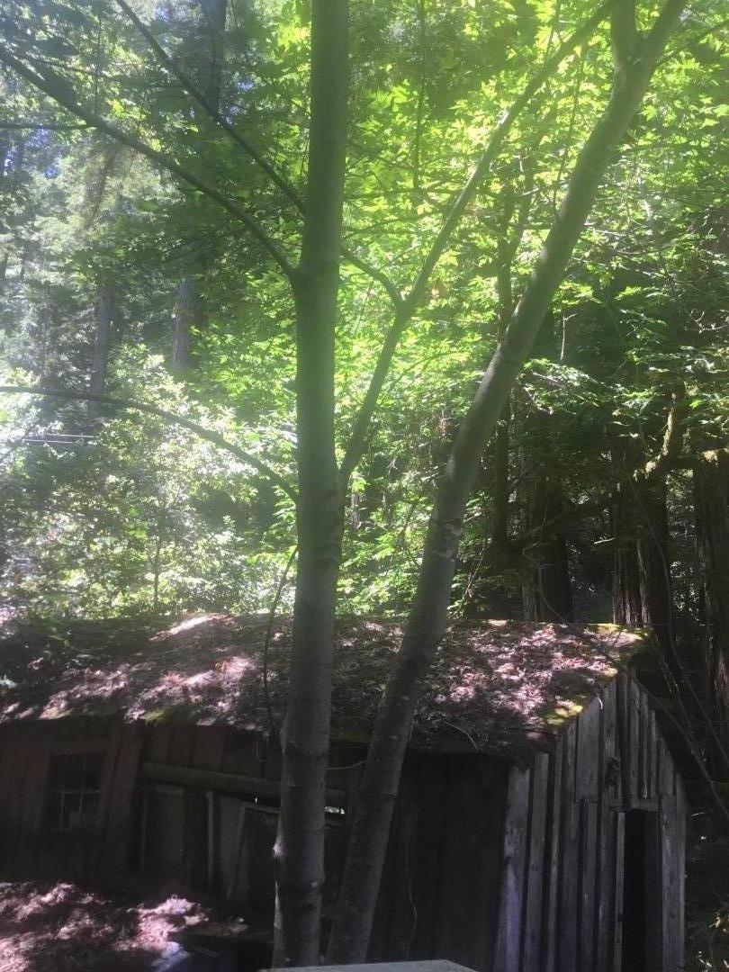 383 Nicasio Way Soquel, CA 95073 - Photo 4 of 5 a view of outdoor space and yard