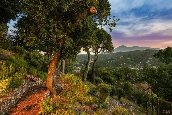 $1,895,000 | 180 El Cerrito Avenue, San Rafael, CA 94901