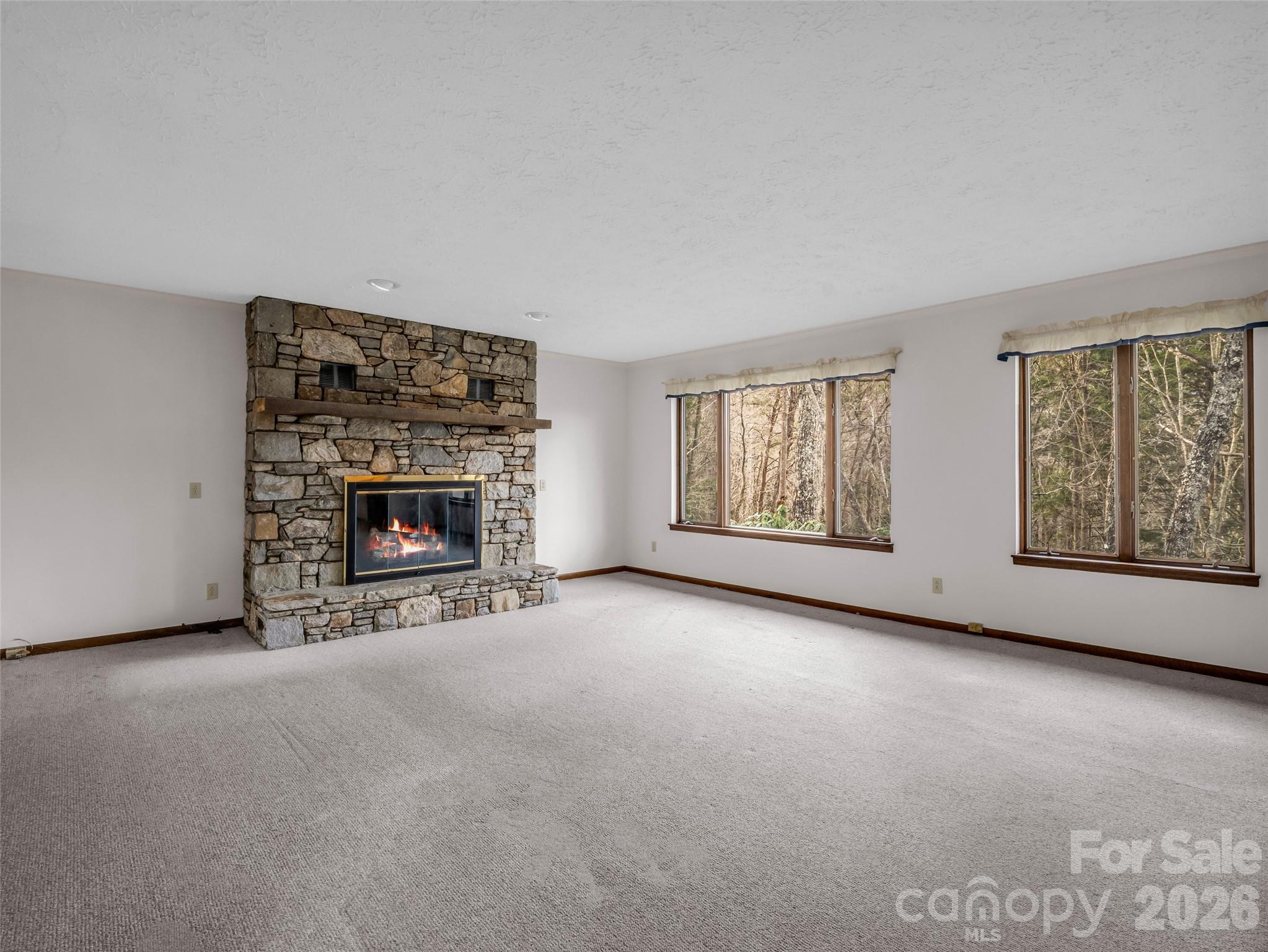 417 Ivy Road Black Mountain, NC 28711 - Photo 12 of 42