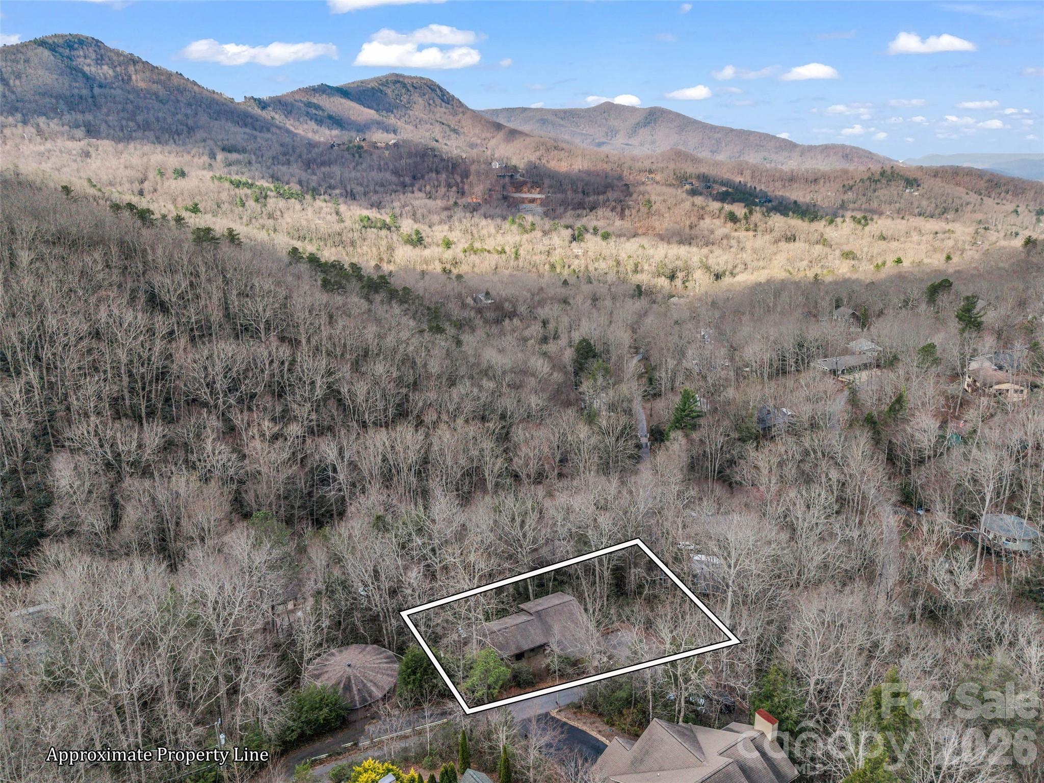 417 Ivy Road Black Mountain, NC 28711 - Photo 39 of 42