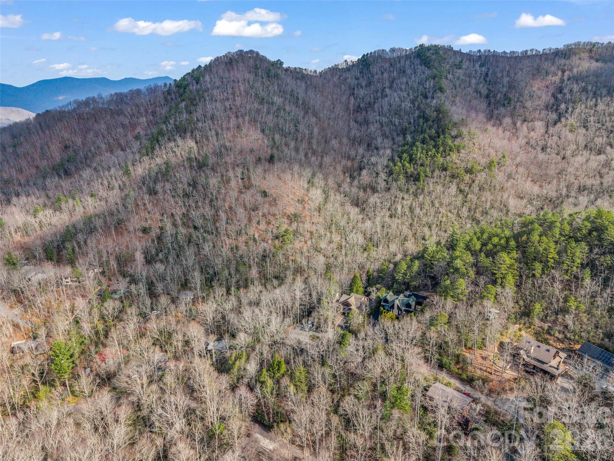 417 Ivy Road Black Mountain, NC 28711 - Photo 8 of 42