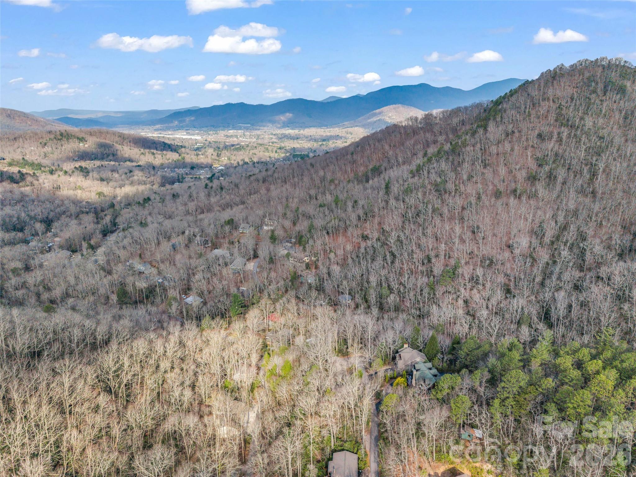 417 Ivy Road Black Mountain, NC 28711 - Photo 9 of 42