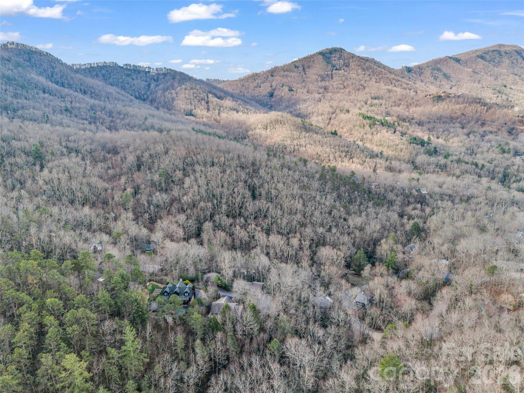 417 Ivy Road Black Mountain, NC 28711 - Photo 10 of 42
