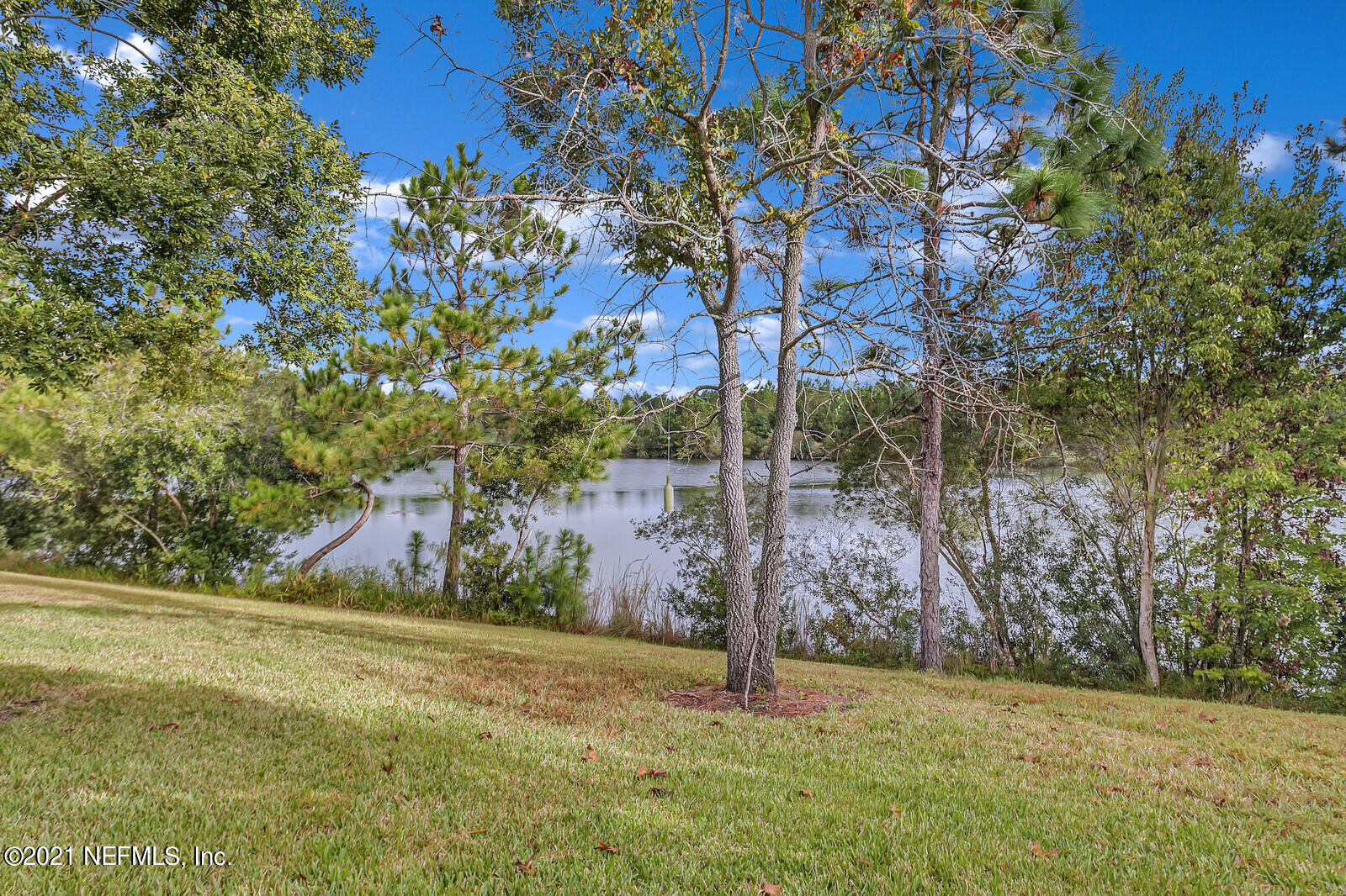3170 Chestnut Ridge Way Orange Park, FL 32065 - Photo 21 of 32 rear view