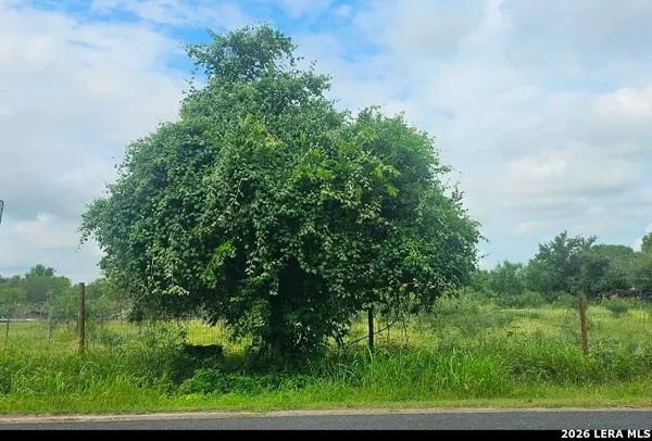 $160,000 | 13808-lot 2 Greenwood Road, Atascosa, TX 78002