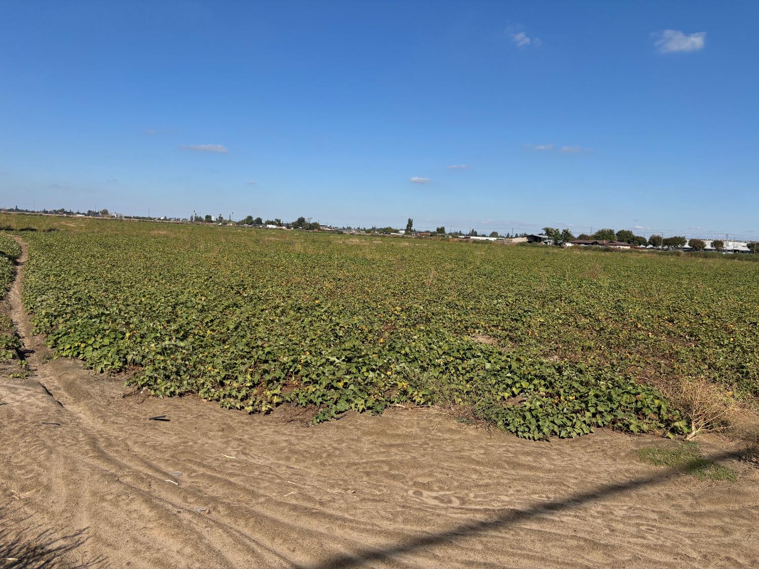 0 East Main Street Turlock, CA 95380 - Photo 1 of 1