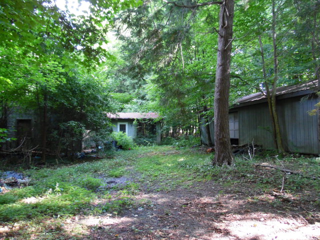 5411 Fitzgerald Road Hector, NY 14818 - Photo 1 of 1 Gallery Image 1