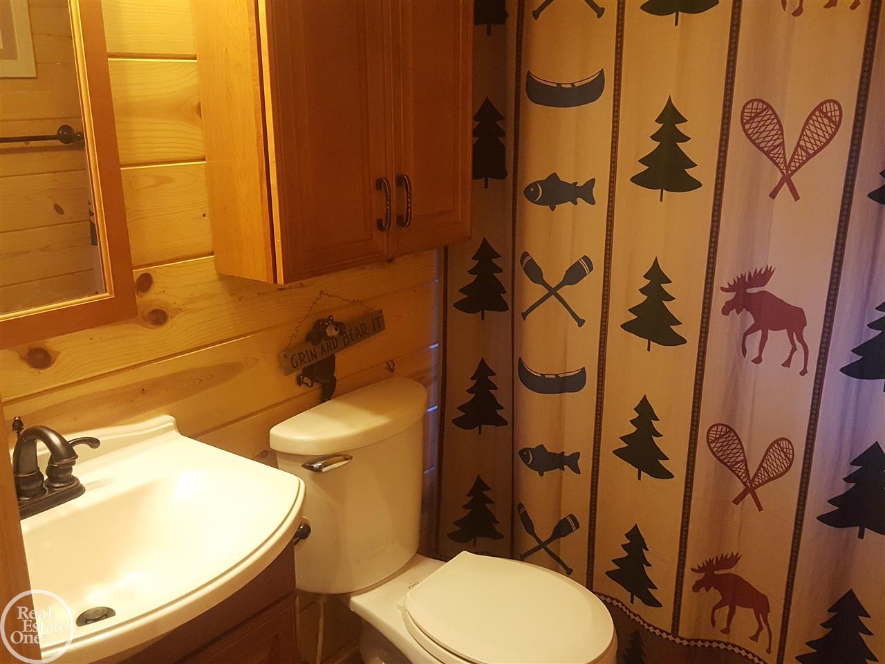 4396 Mortimer Line Road Croswell, MI 48422 - Photo 23 of 42