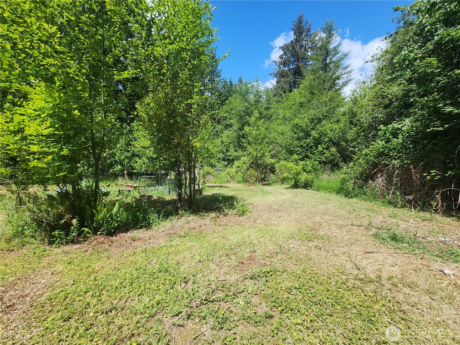 504-47 Winston Creek Road Mossyrock, WA 98564 - Photo 12 of 34