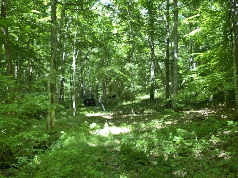 1200 Charlie Morrison Road Columbia, KY 42728 - Photo 8 of 17 Gallery Image 8