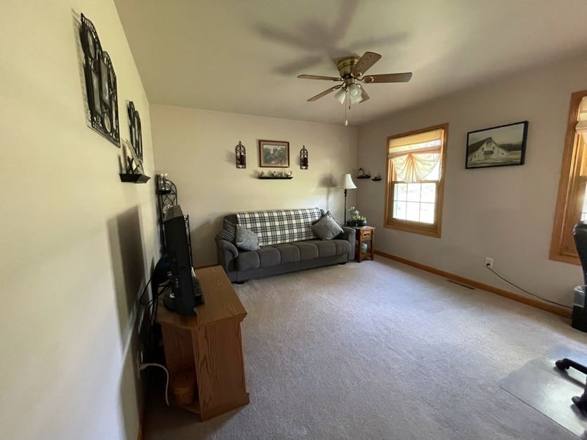 545 Morgan Road Amboy, IL 61310 - Photo 6 of 23