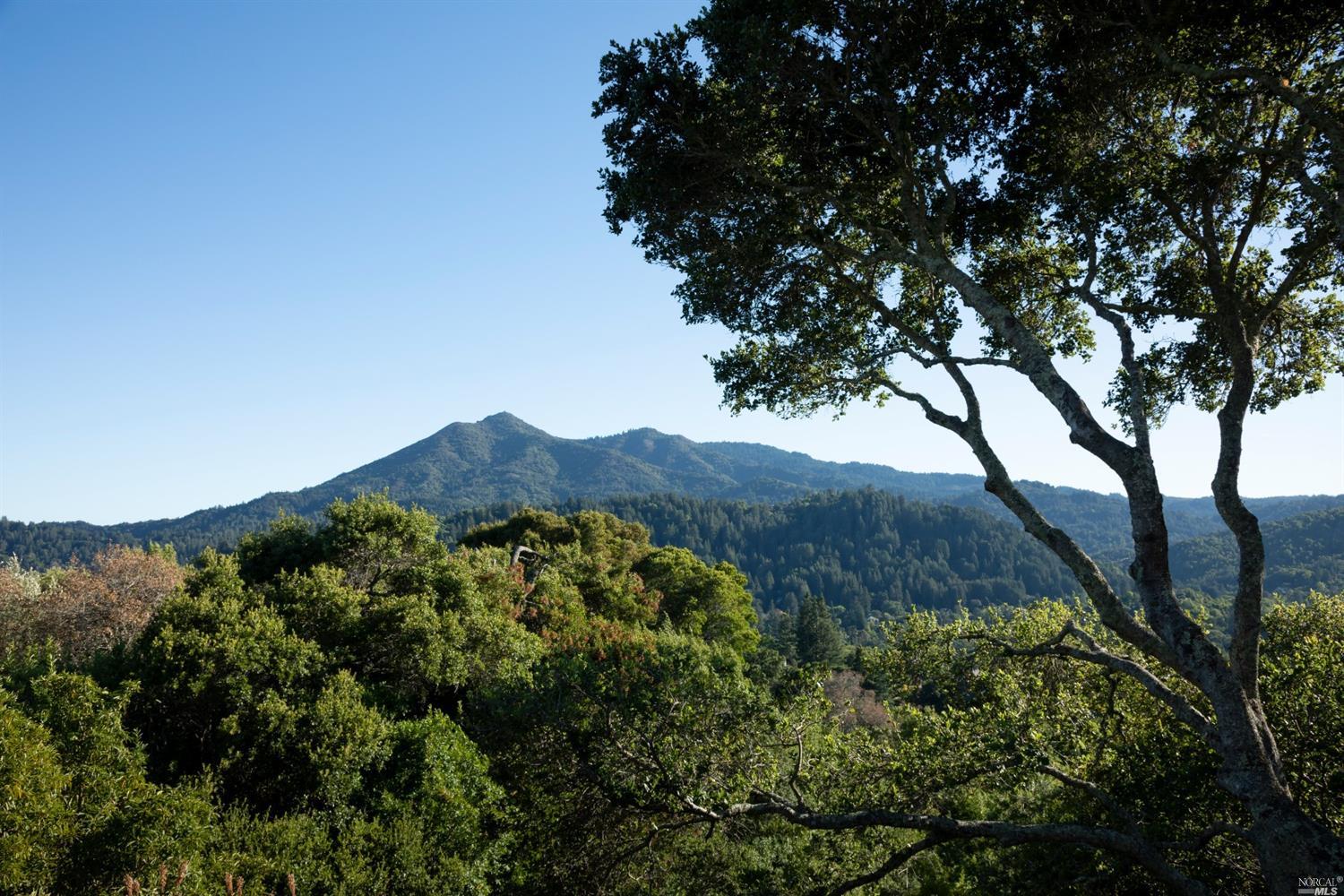 21 Canyon Road Ross, CA 94957 - Photo 26 of 41