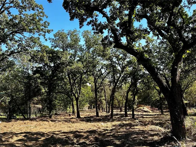 a view of outdoor space with trees