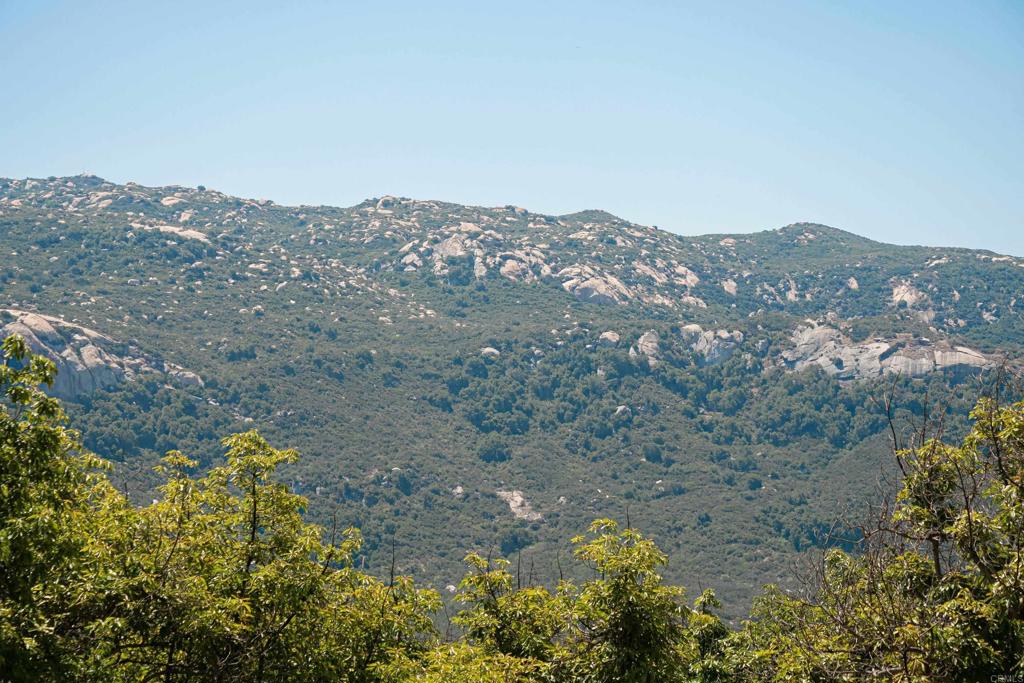 44867 Vía Horca Temecula, CA 92590 - Photo 28 of 30 a view of a mountain in the distance in a field