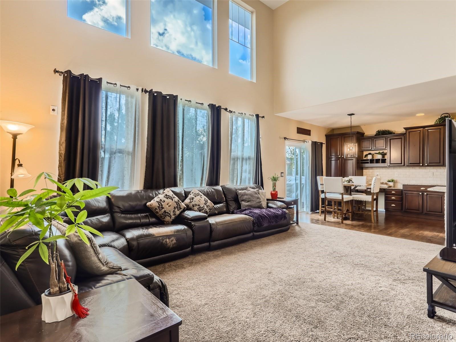 10857 Hickory Ridge Street Highlands Ranch, CO 80126 - Photo 14 of 28