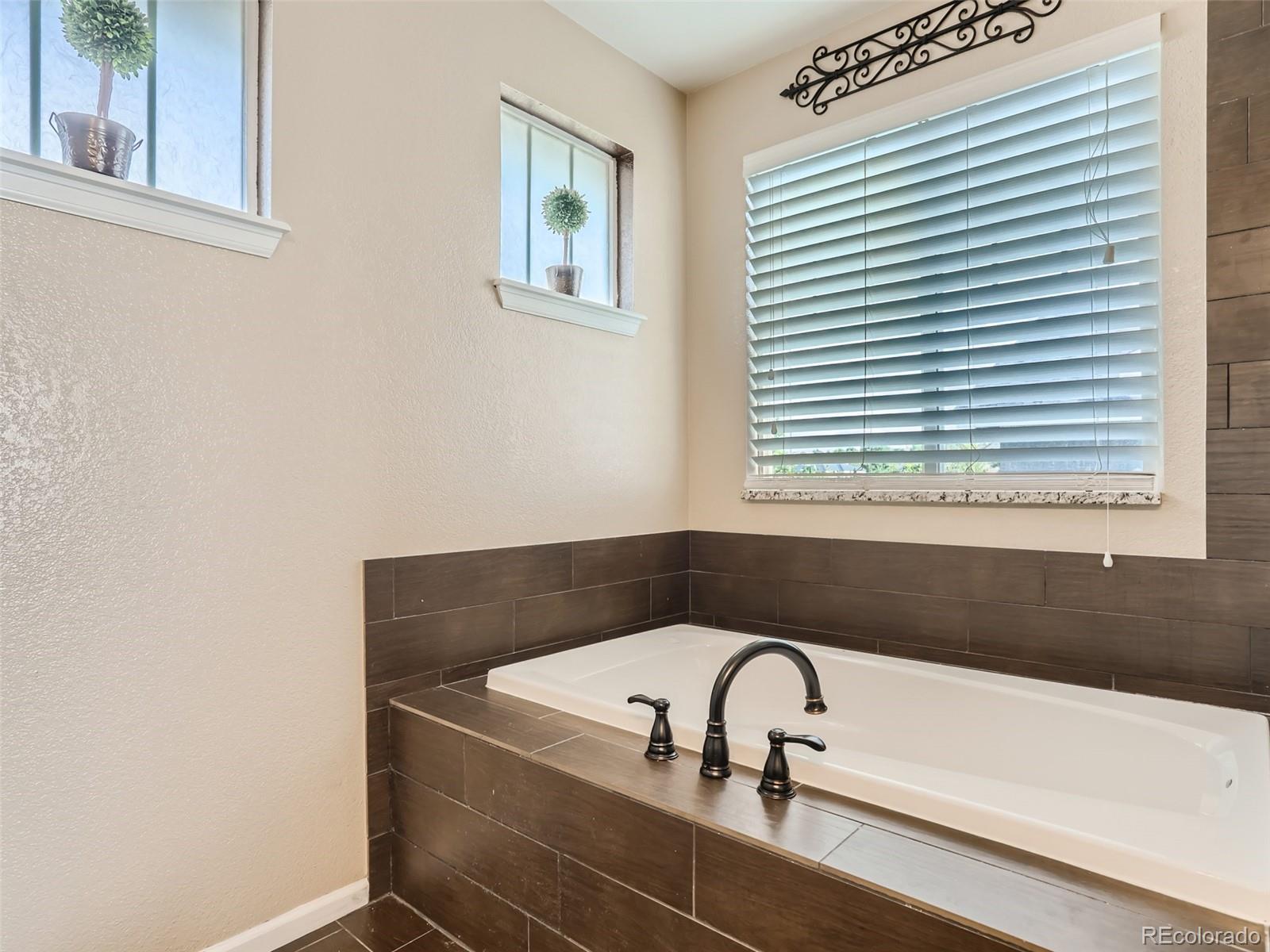 10857 Hickory Ridge Street Highlands Ranch, CO 80126 - Photo 20 of 28