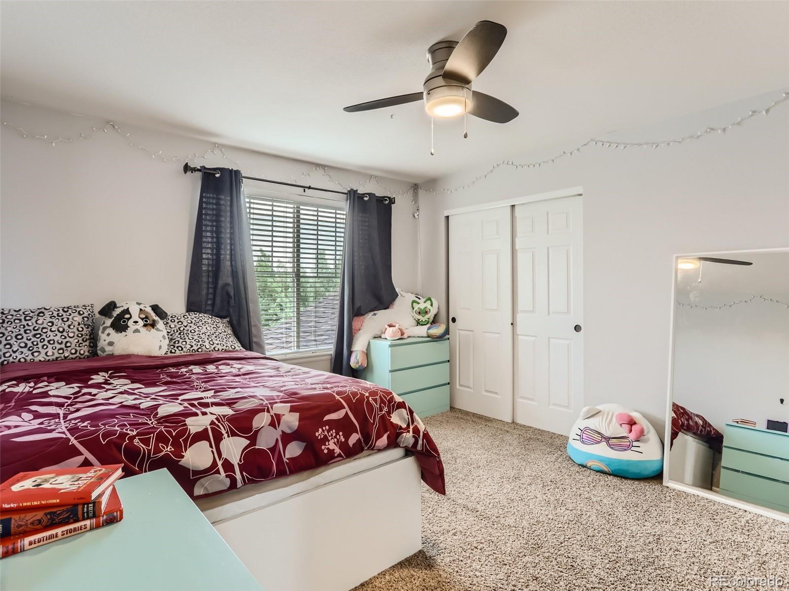 10857 Hickory Ridge Street Highlands Ranch, CO 80126 - Photo 22 of 28