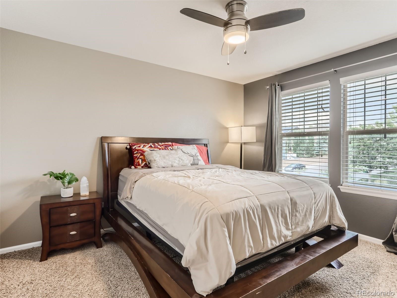 10857 Hickory Ridge Street Highlands Ranch, CO 80126 - Photo 24 of 28