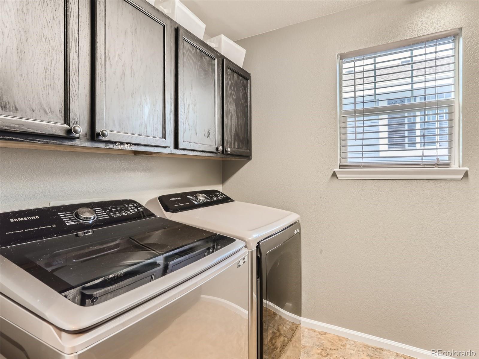 10857 Hickory Ridge Street Highlands Ranch, CO 80126 - Photo 25 of 28