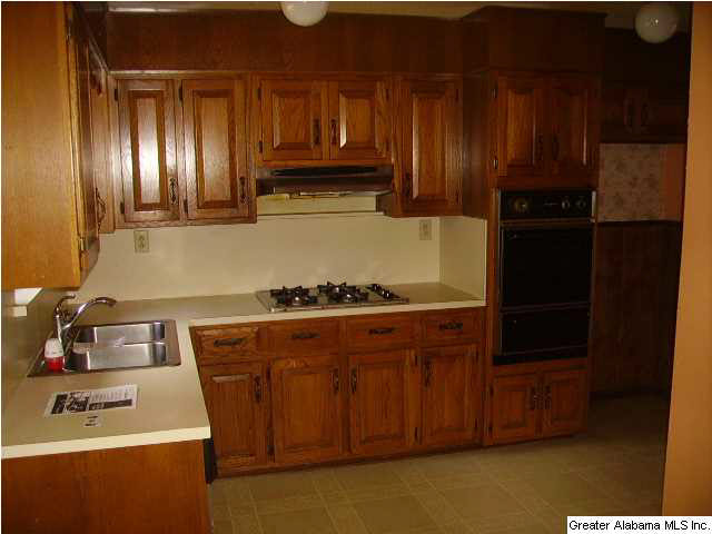 236 Chambers Circle Bessemer, AL 35022 - Photo 9 of 28