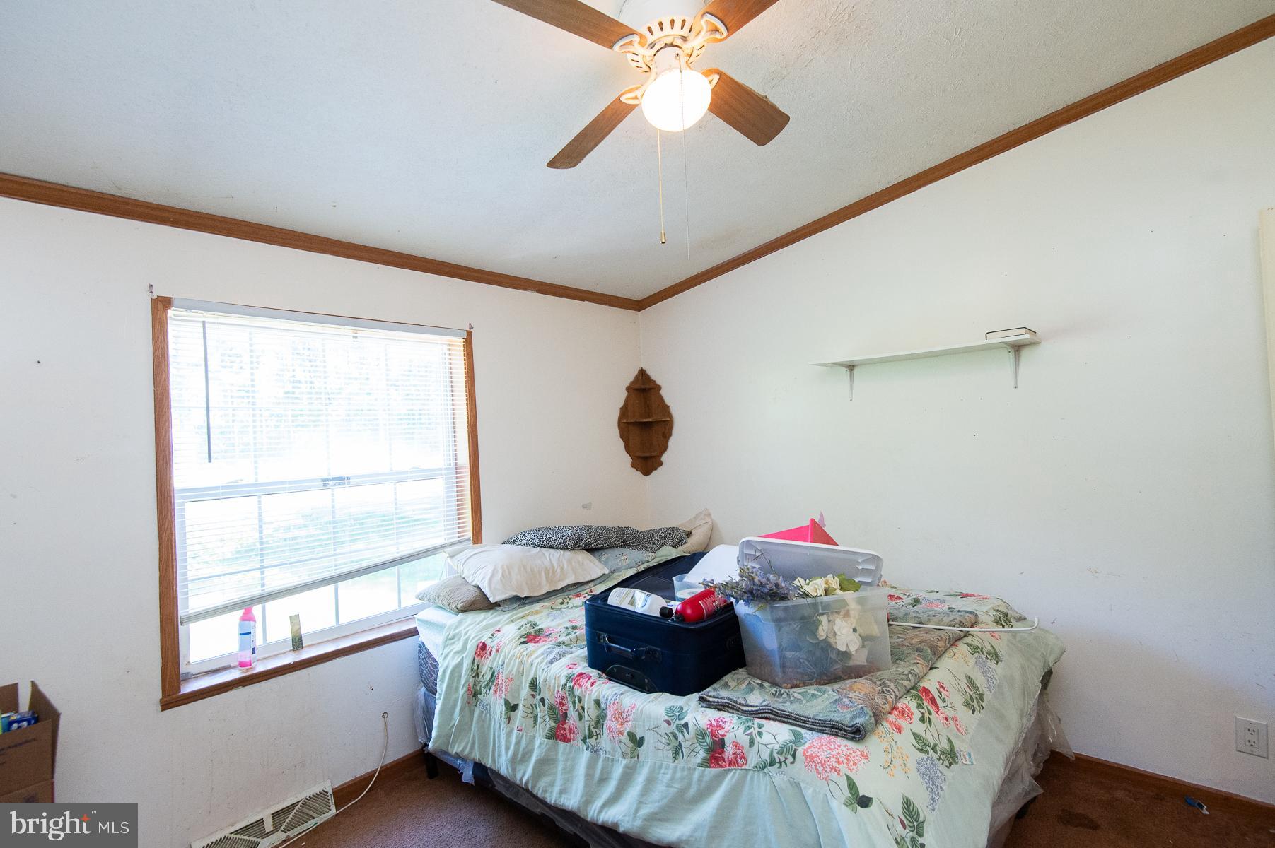 6504 Cabin Ridge Road Hurlock, MD 21643 - Photo 35 of 42