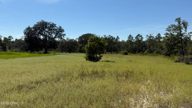$1,050,000 | 0 Jewell Road, Chipley, FL 32428