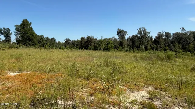 $1,050,000 | 0 Jewell Road, Chipley, FL 32428